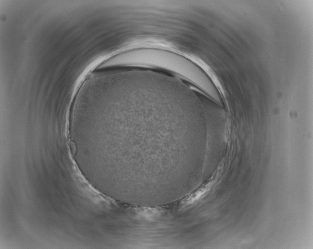 X0000085260815200703161402