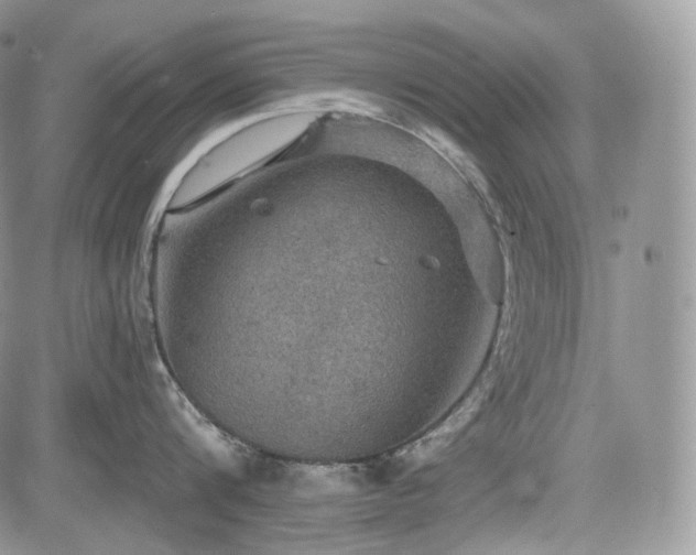 X0000085260816200703161402