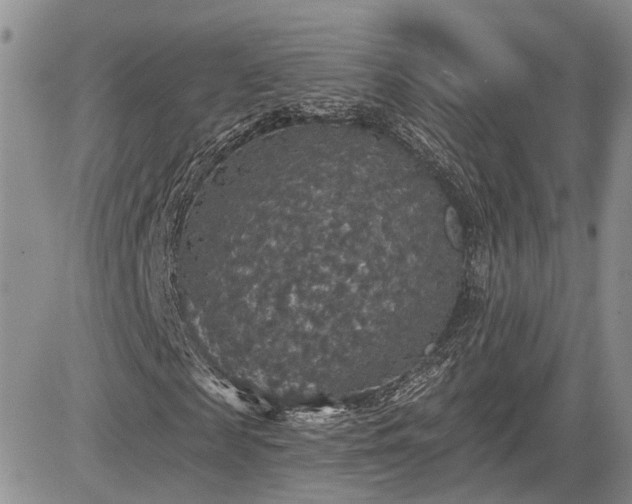 X0000085260817200703161401