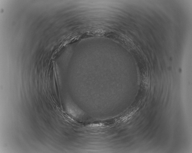 X0000085260818200703161401