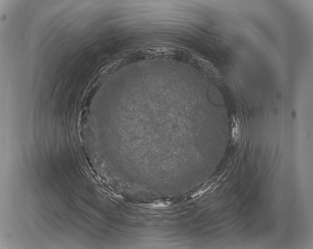 X0000085260819200703161401