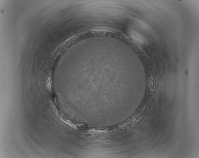 X0000085260821200703161401