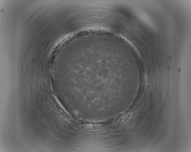 X0000085260823200703161401