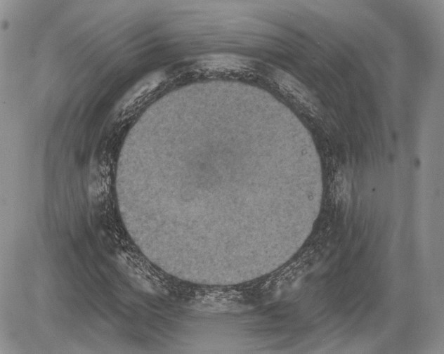 X0000085260824200703161401