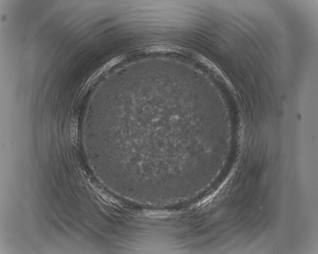 X0000085260825200703161401