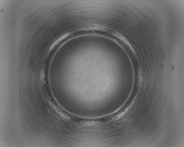 X0000085260826200703161401