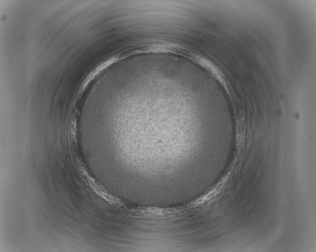 X0000085260827200703161401