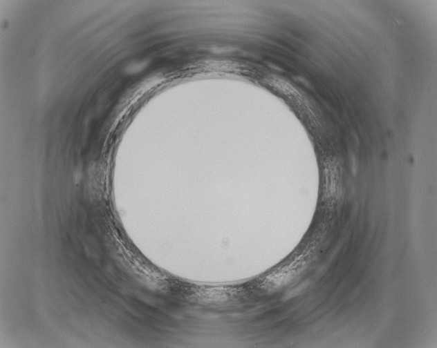 X0000085260828200703161401