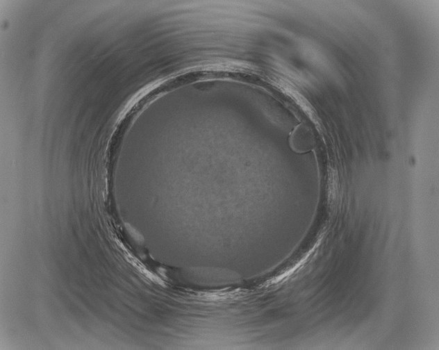 X0000085260829200703161401