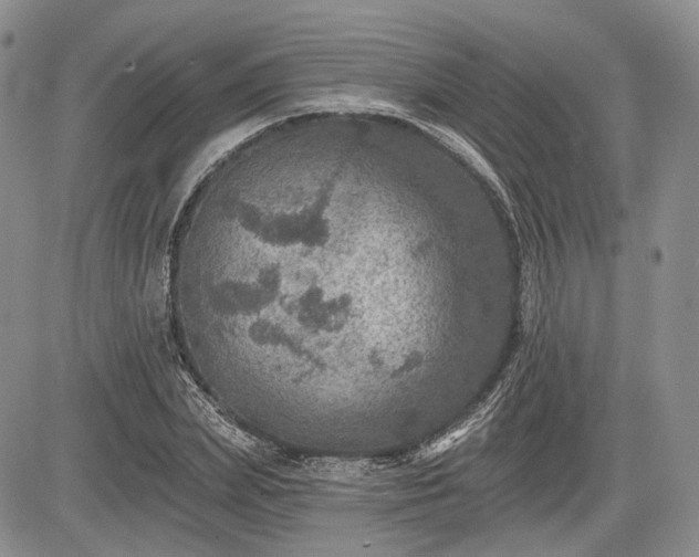 X0000085260831200703161401