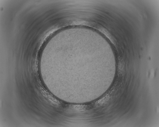 X0000085260832200703161401