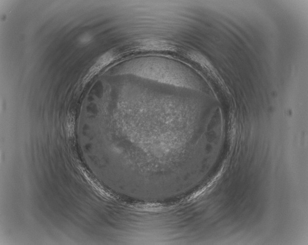 X0000085260833200703161401