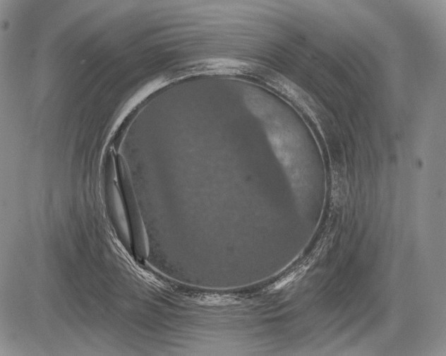 X0000085260835200703161402