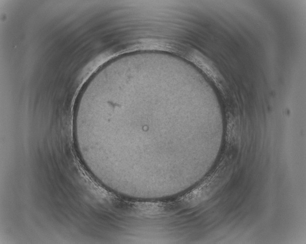 X0000085260836200703161402