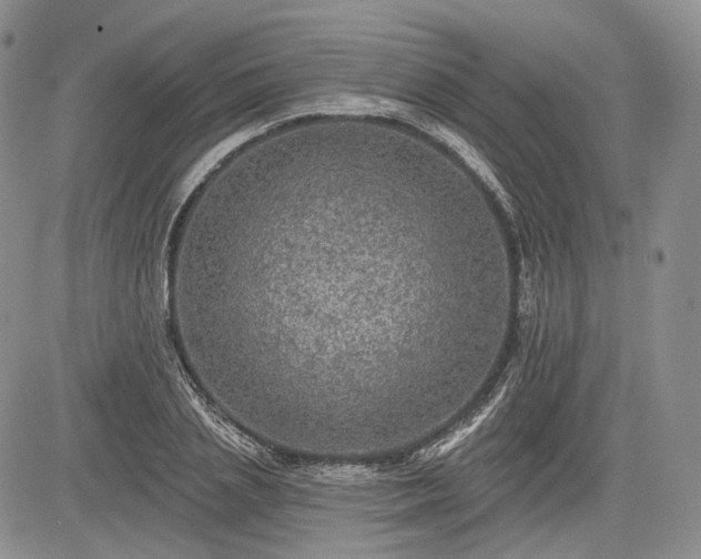 X0000085260837200703161402