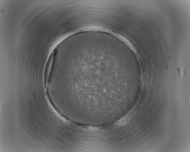 X0000085260839200703161402