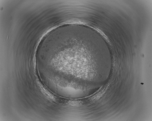 X0000085260840200703161402