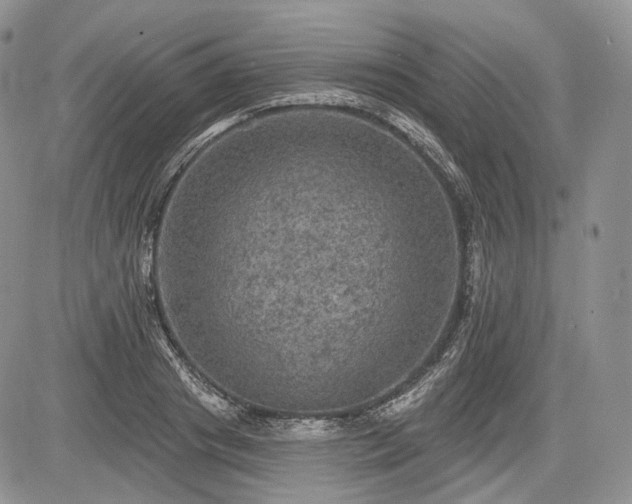 X0000085260841200703161402