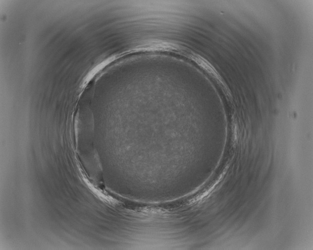 X0000085260842200703161402