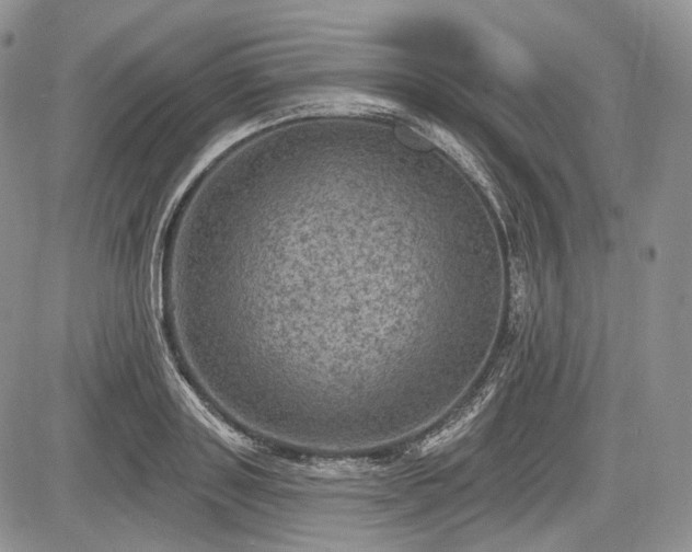 X0000085260843200703161402