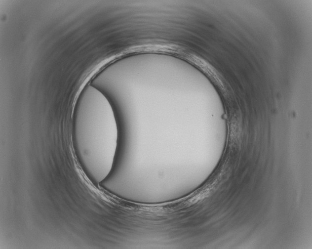 X0000085260844200703161402