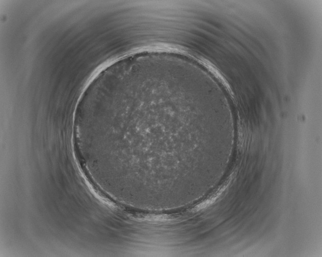 X0000085260845200703161402