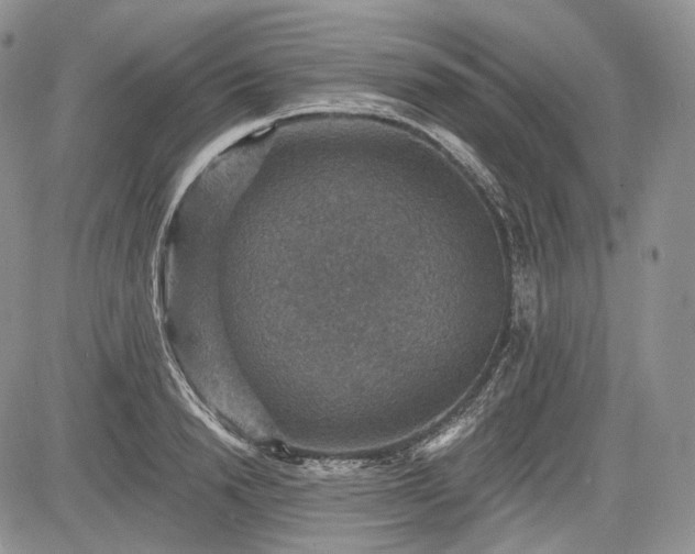 X0000085260846200703161402