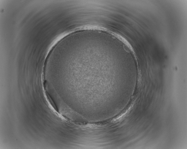 X0000085260847200703161402