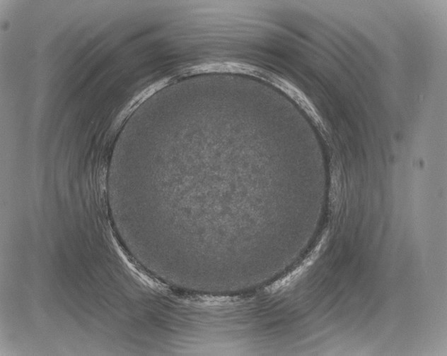 X0000085260849200703161402