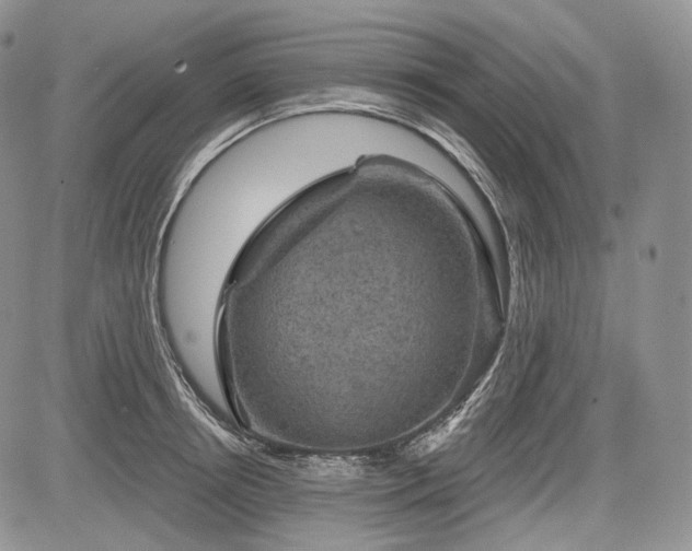 X0000085260850200703161402