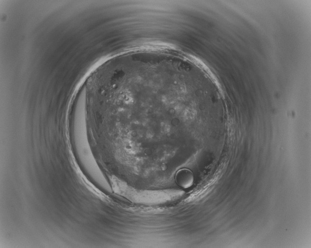 X0000085260851200703161402