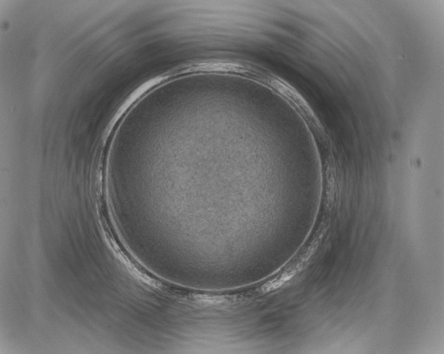 X0000085260852200703161402