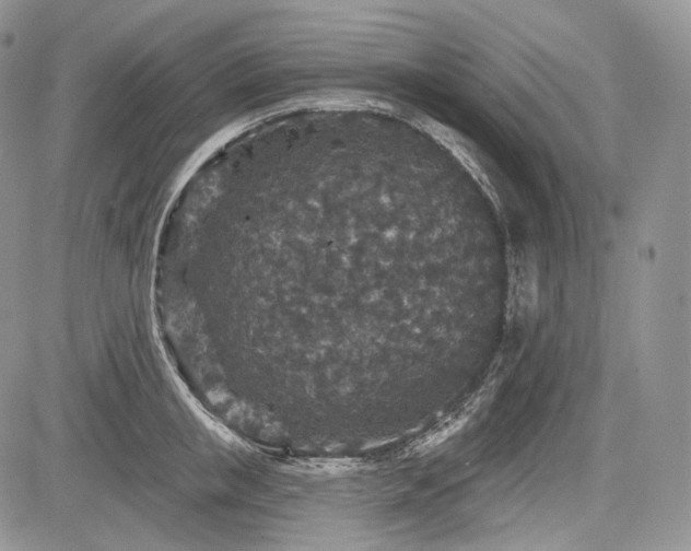 X0000085260853200703161402