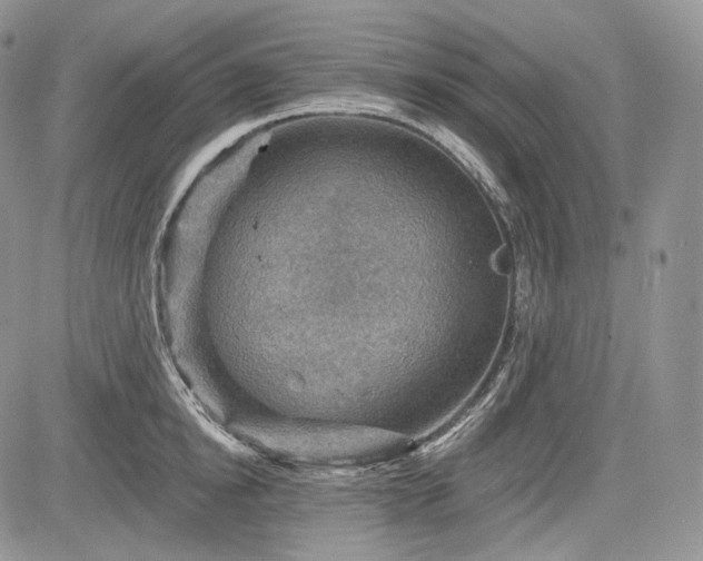 X0000085260854200703161402