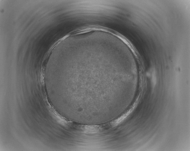 X0000085260857200703161402