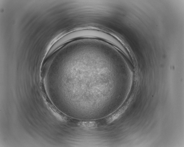 X0000085260858200703161402