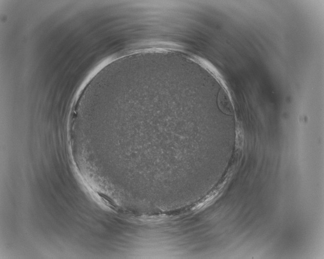 X0000085260859200703161402