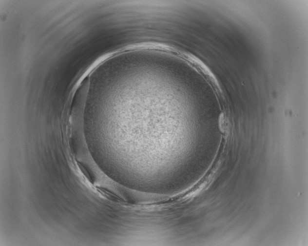 X0000085260860200703161402