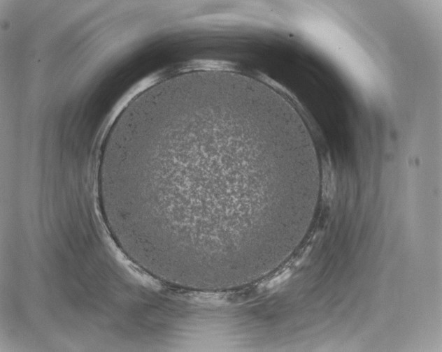 X0000085260861200703161402