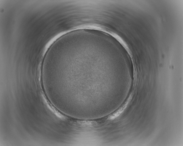 X0000085260862200703161402