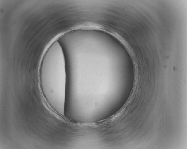 X0000085260864200703161402