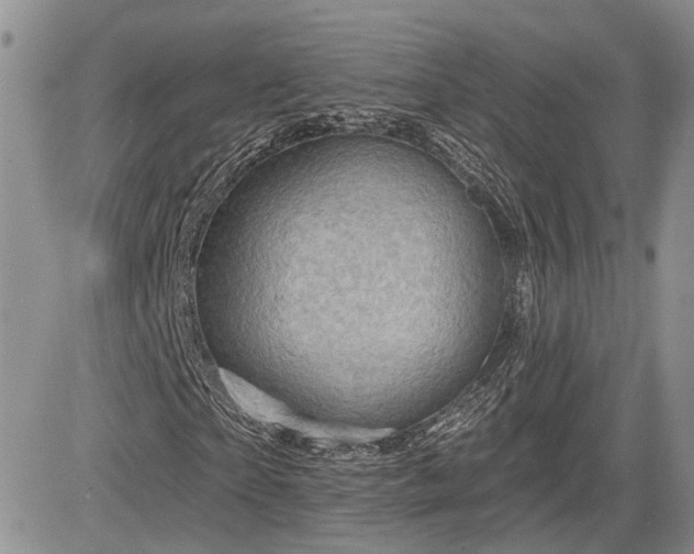 X0000085260865200703161401