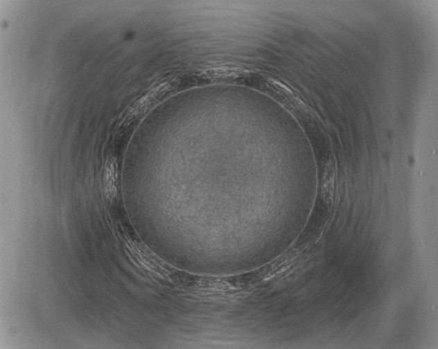 X0000085260866200703161401