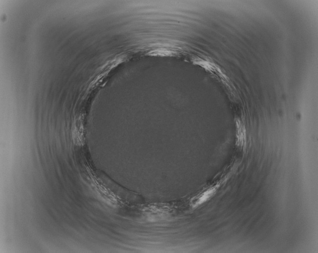 X0000085260868200703161401