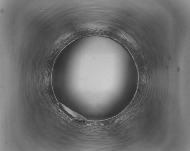 X0000085260869200703161401