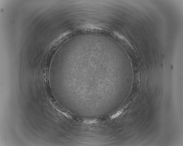 X0000085260870200703161401