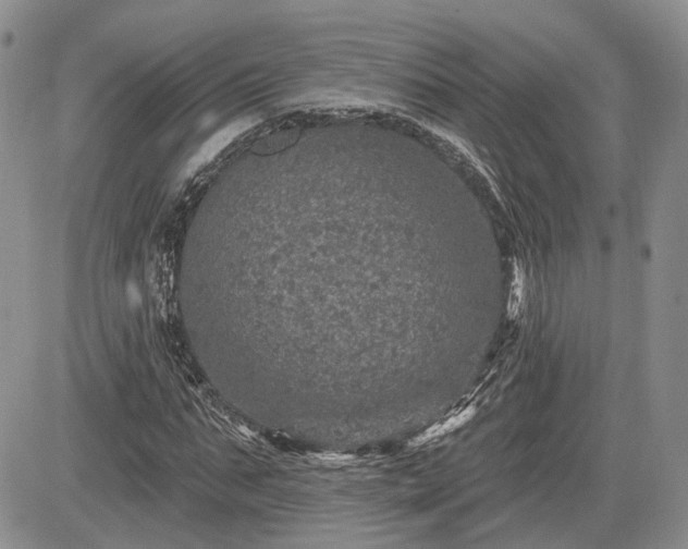 X0000085260871200703161401