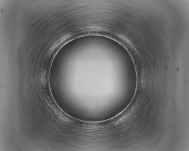 X0000085260873200703161401