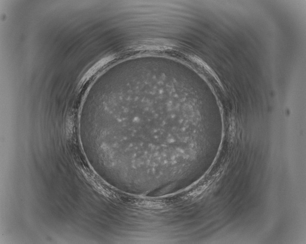 X0000085260874200703161401