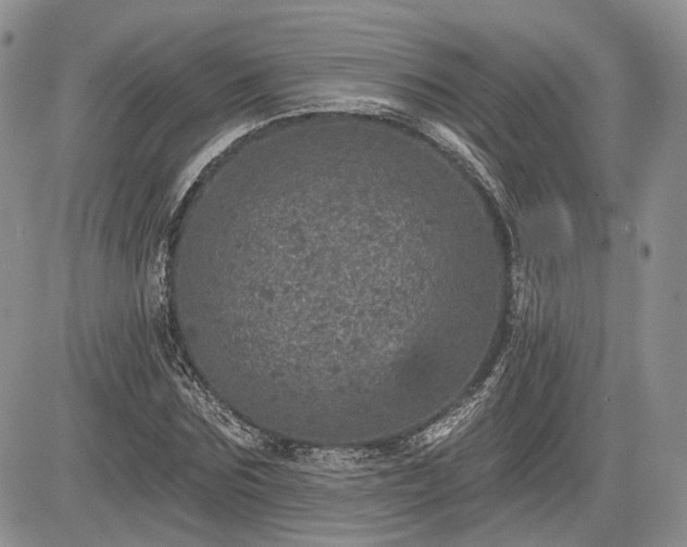 X0000085260875200703161401